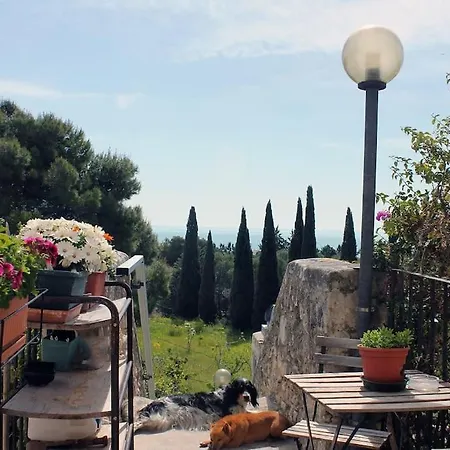 Casa Masseria Dell'800 Gargano. Le Mignole Apartment